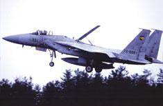 F-15J