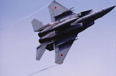 F-15J