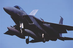 F-15J